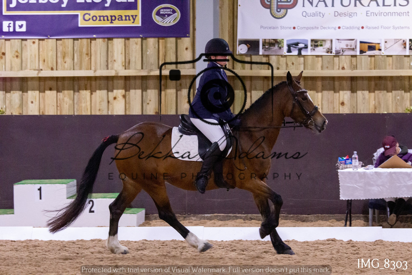 JHOYS Dressage