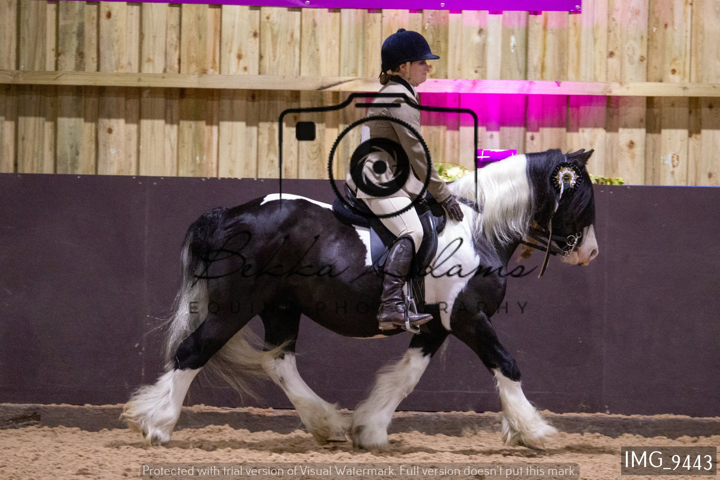JHOYS Ridden Showing Group 1