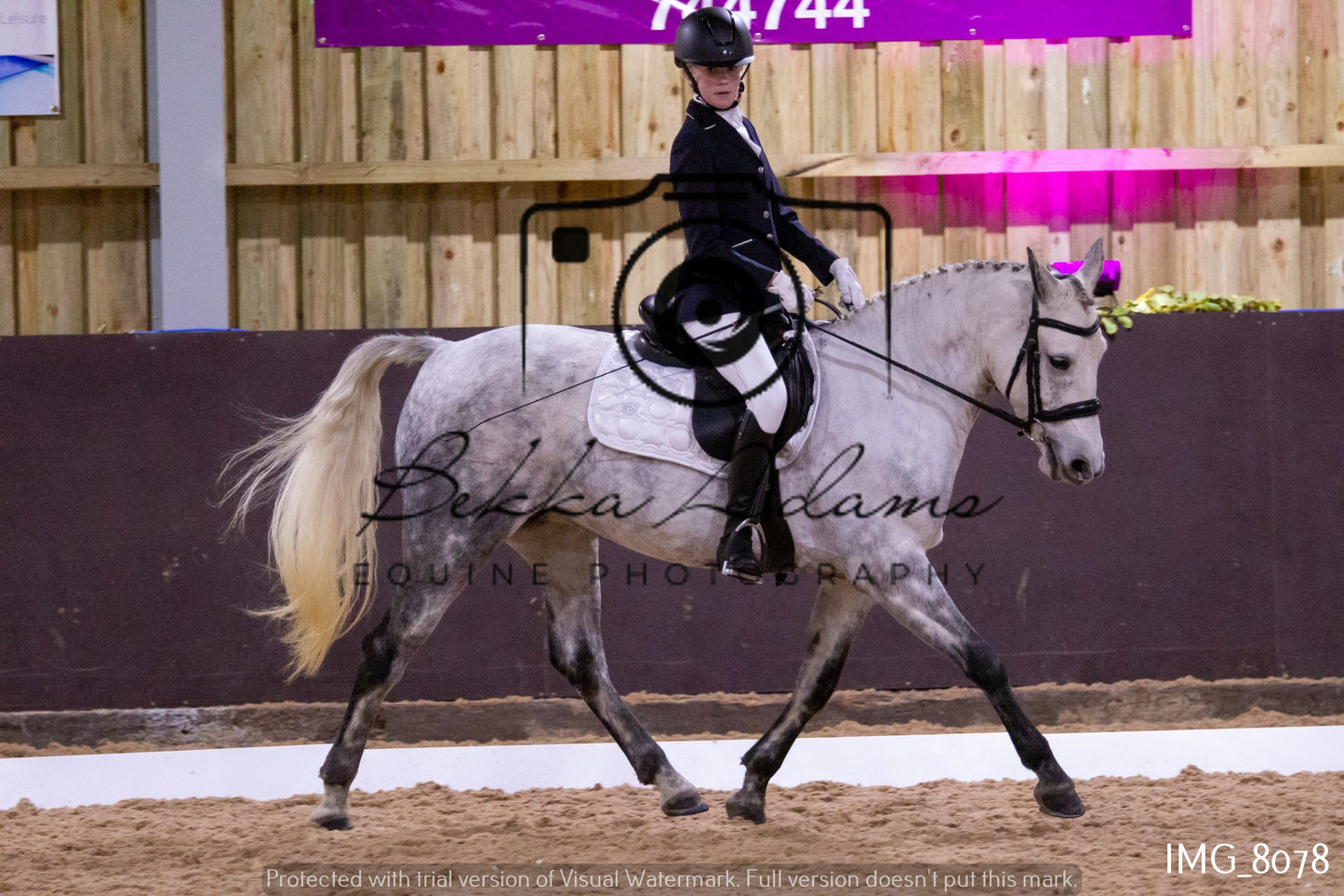 JHOYS Dressage