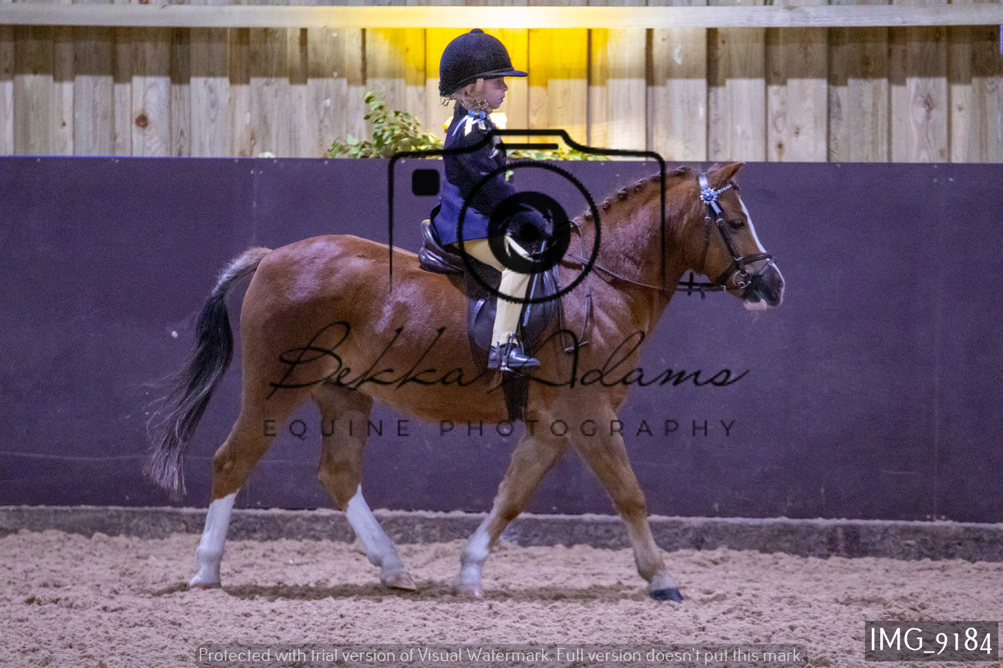 JHOYS Ridden Showing Group 1