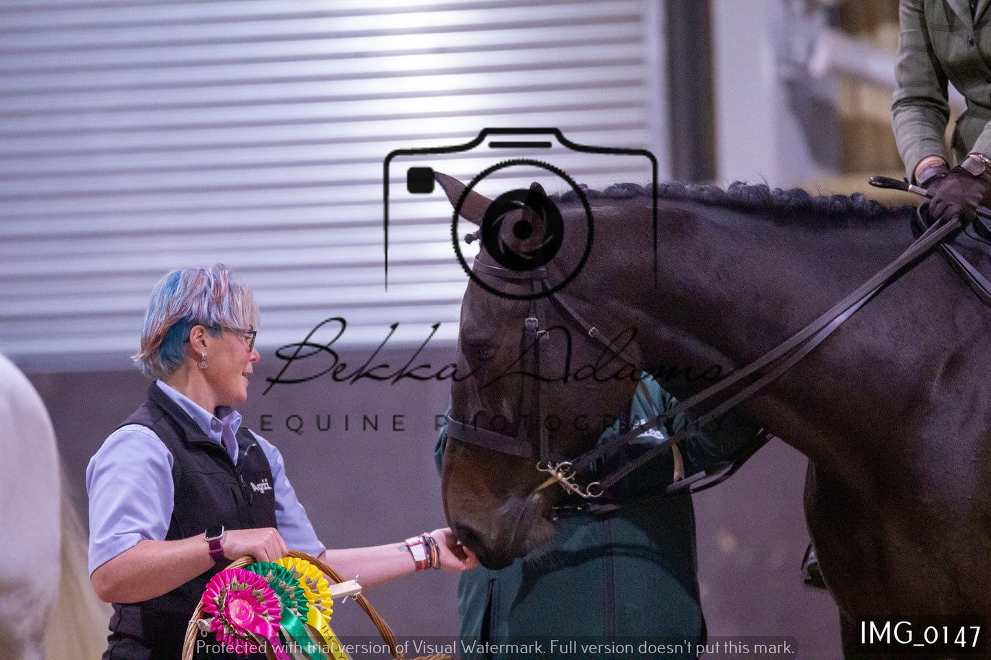 JHOYS Ridden Showing Group 1