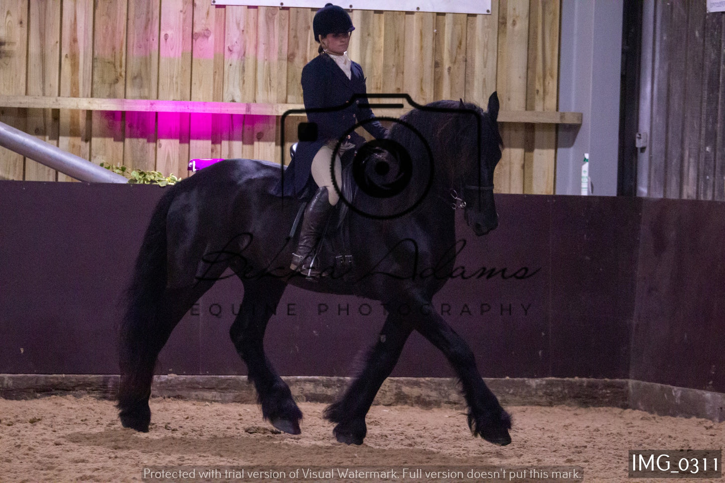 JHOYS Ridden Showing Group 1