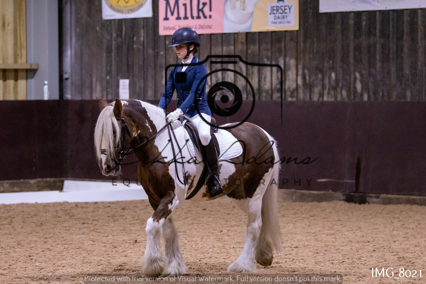 JHOYS Dressage