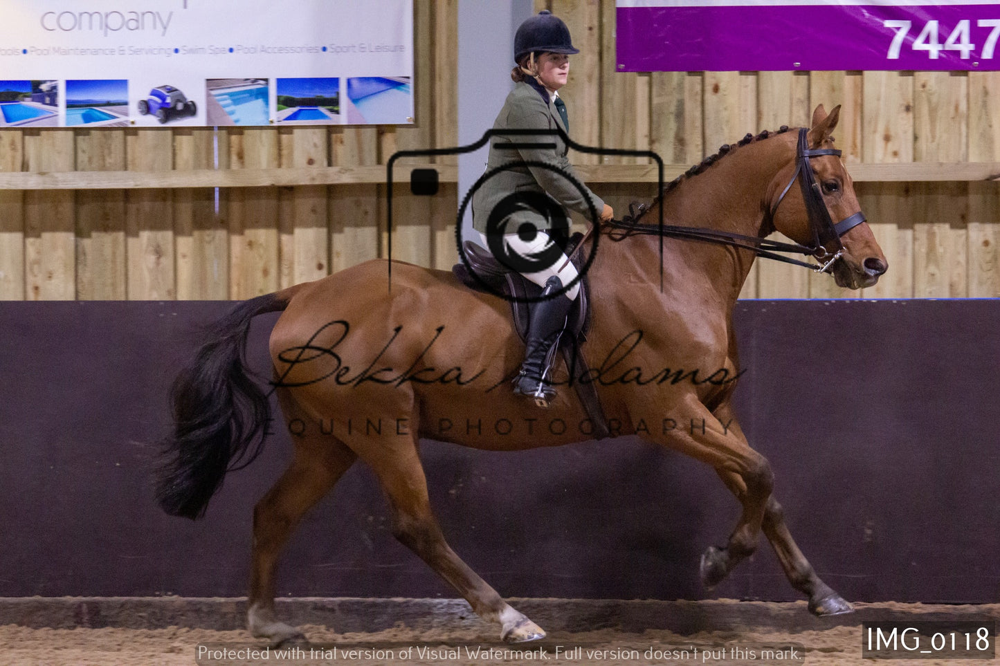 JHOYS Ridden Showing Group 1