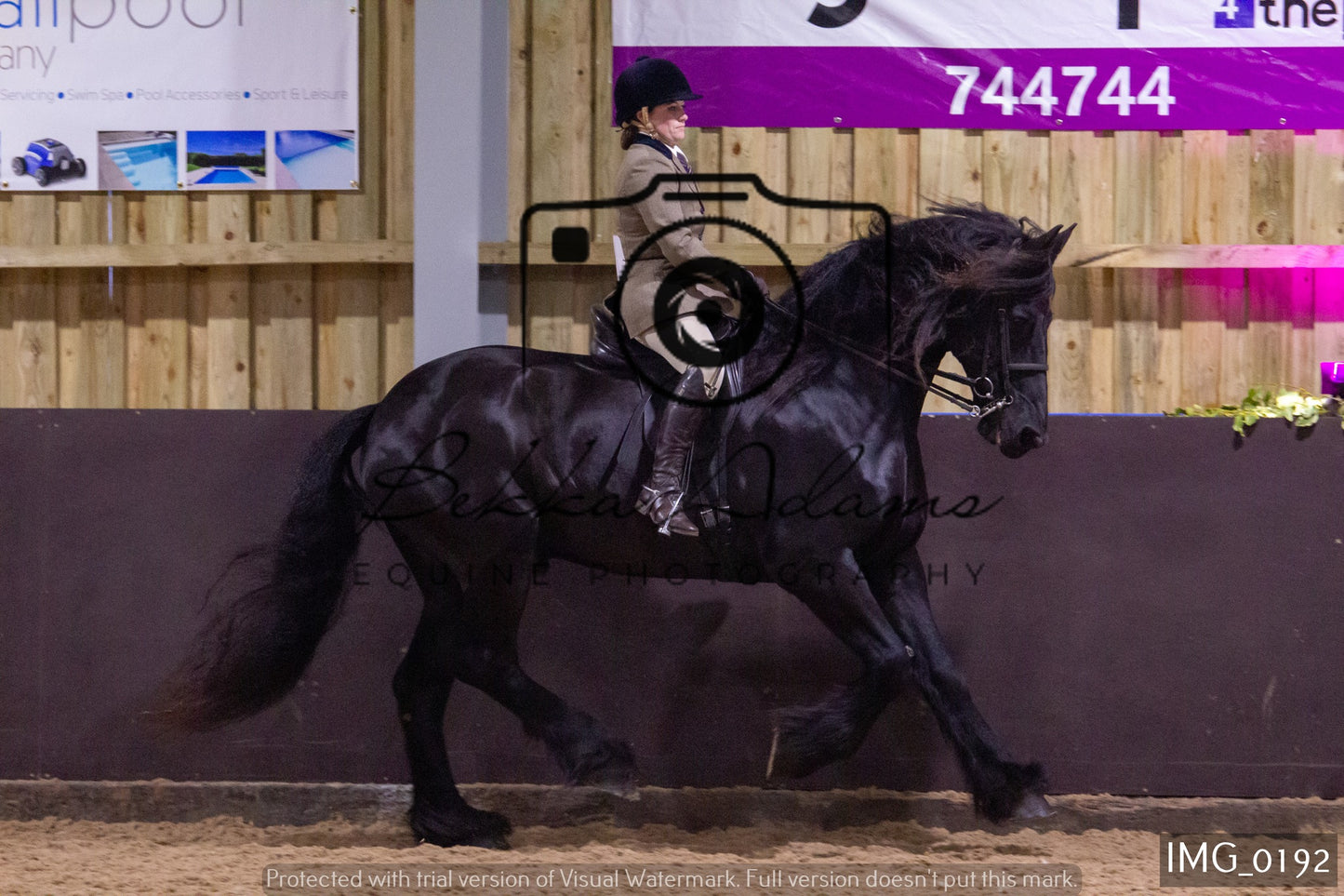 JHOYS Ridden Showing Group 1