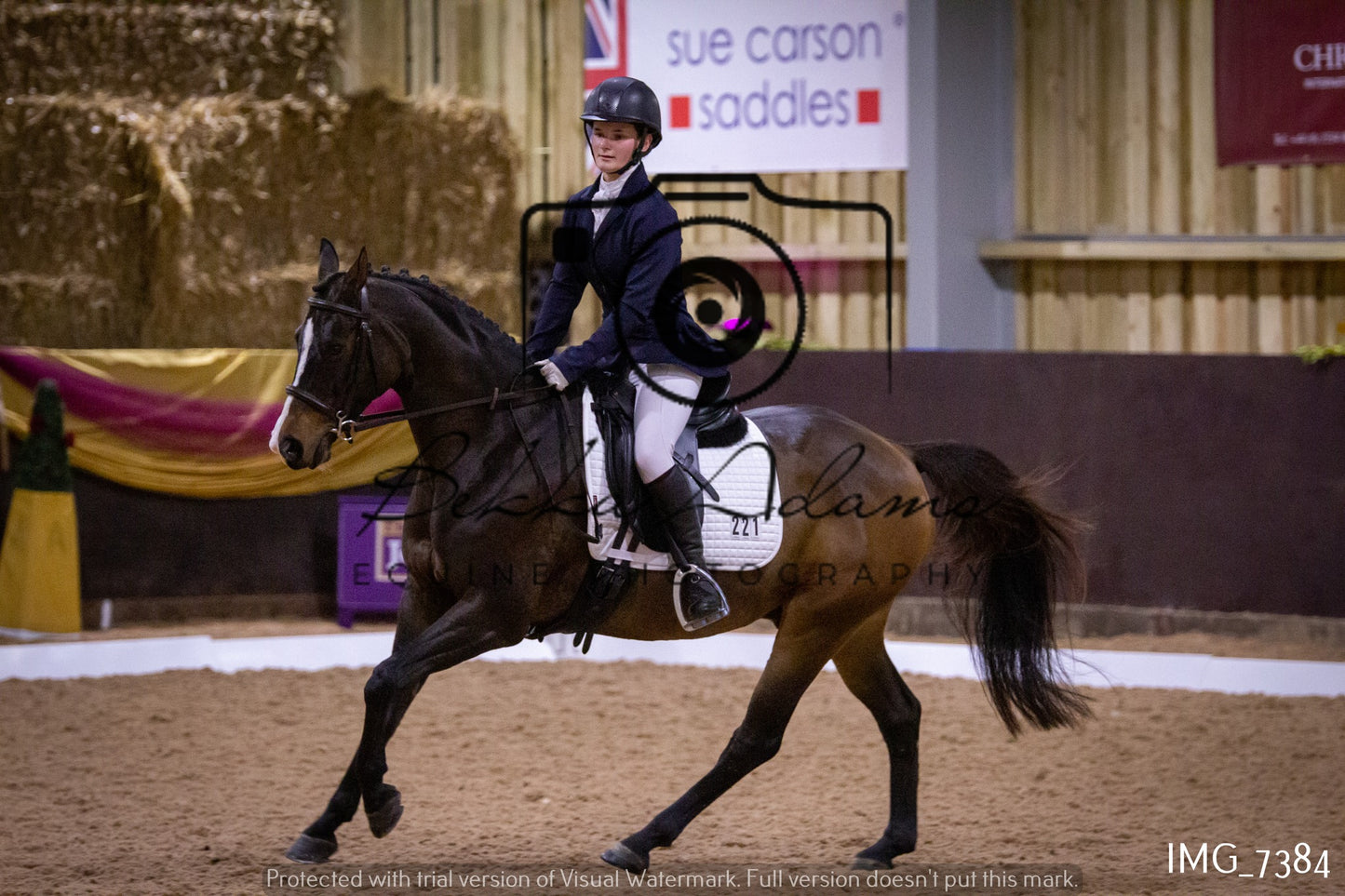 JHOYS Dressage