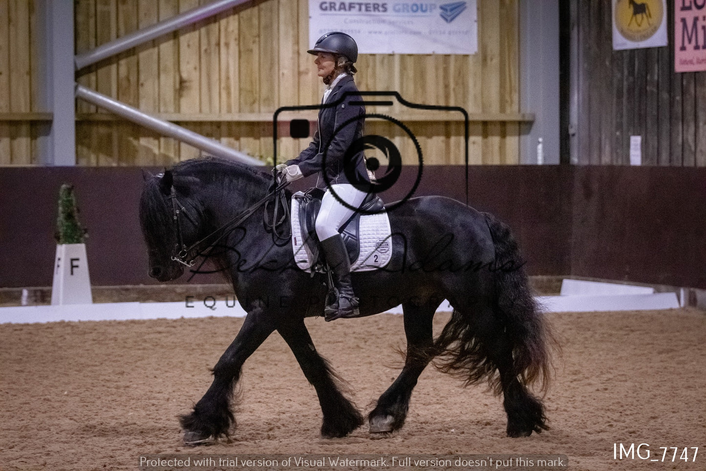 JHOYS Dressage