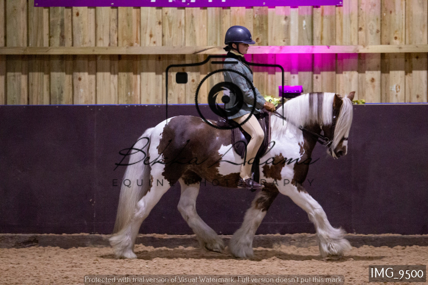 JHOYS Ridden Showing Group 1