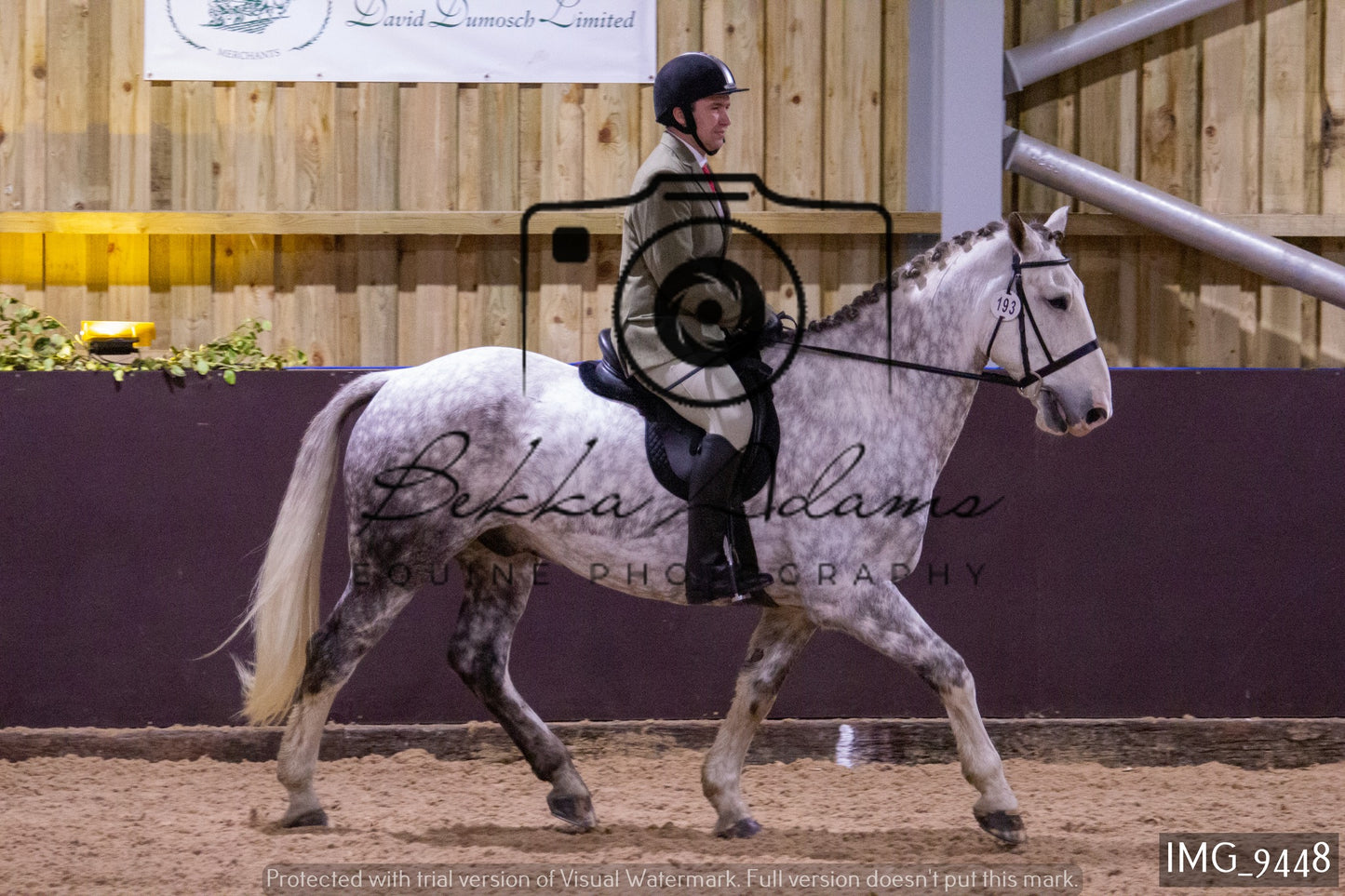 JHOYS Ridden Showing Group 1