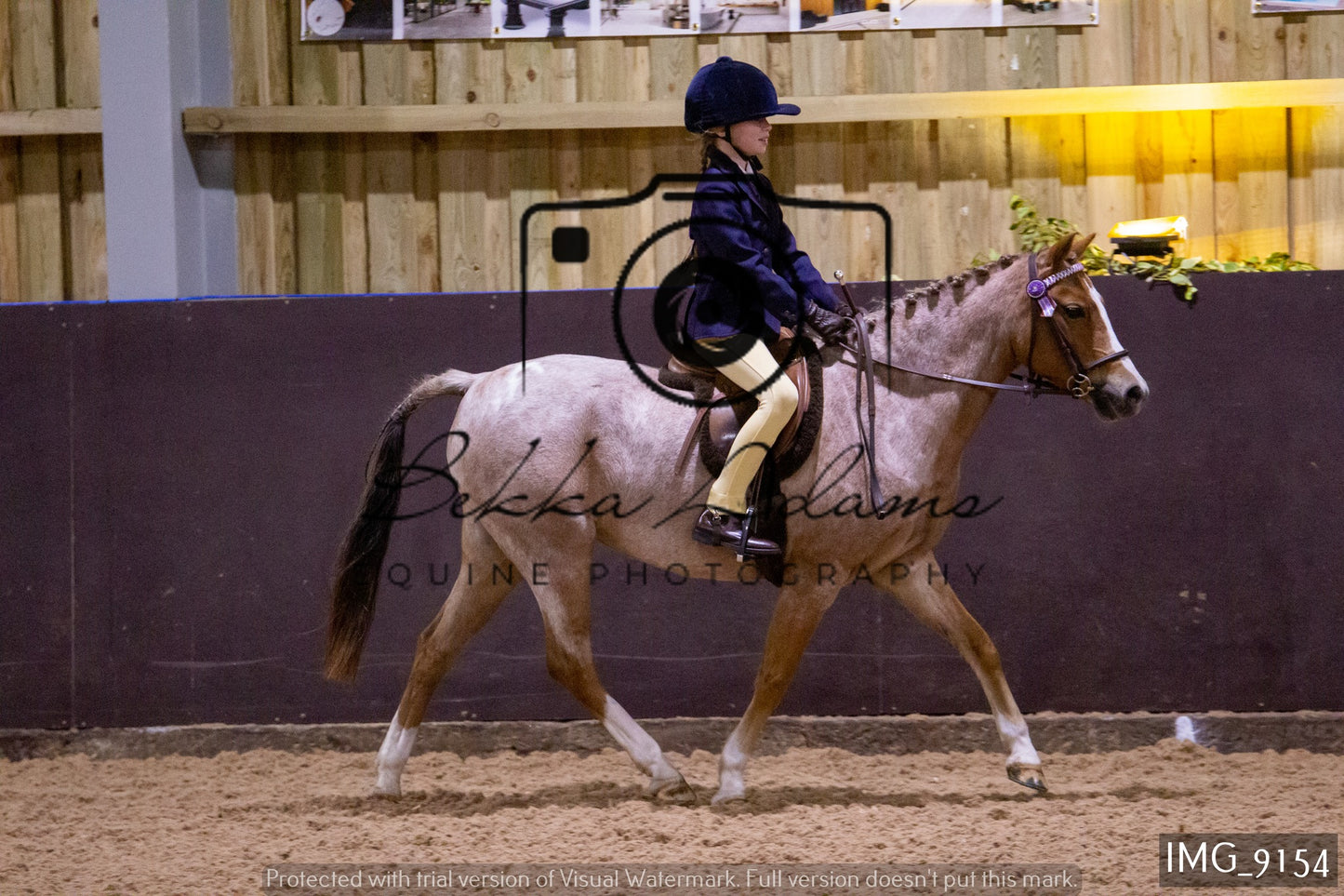 JHOYS Ridden Showing Group 1