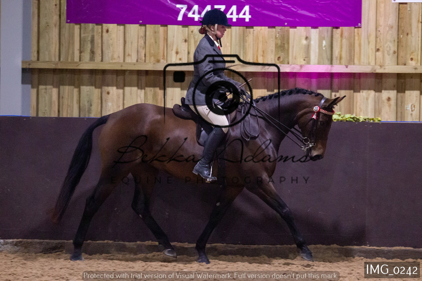 JHOYS Ridden Showing Group 1