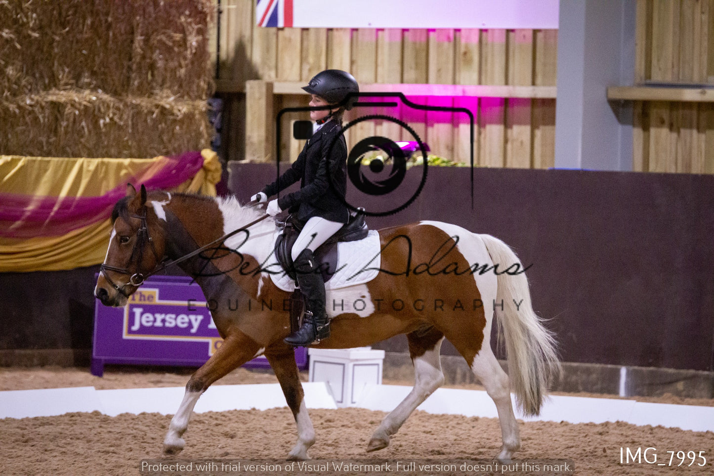 JHOYS Dressage