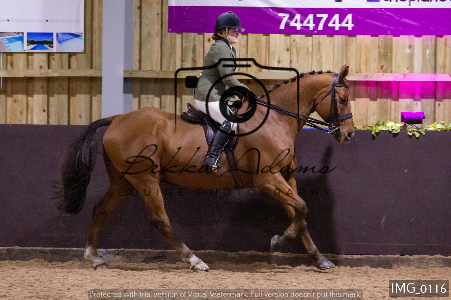 JHOYS Ridden Showing Group 1