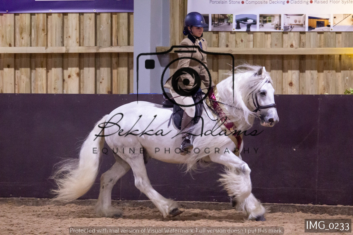 JHOYS Ridden Showing Group 1