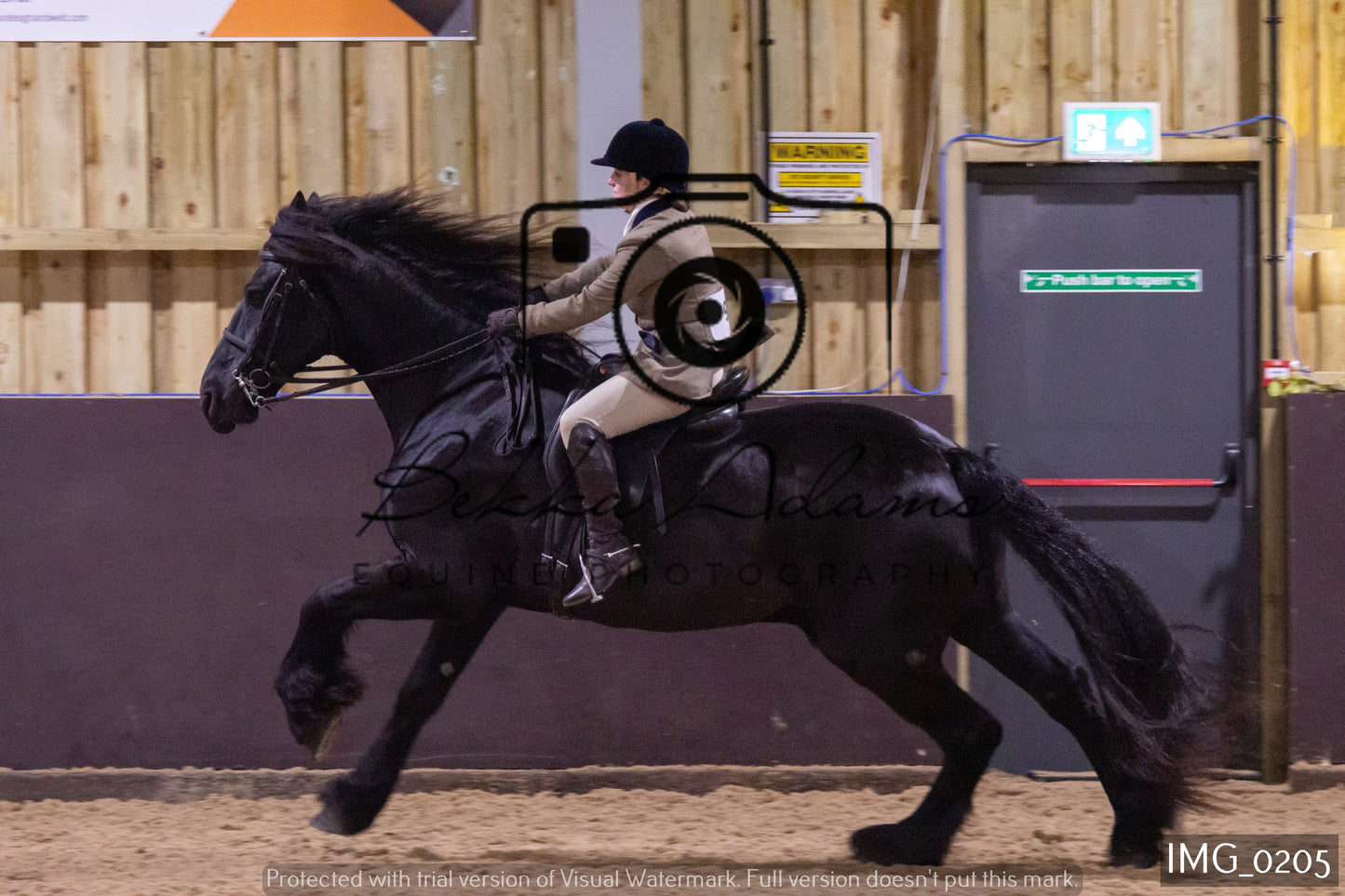 JHOYS Ridden Showing Group 1