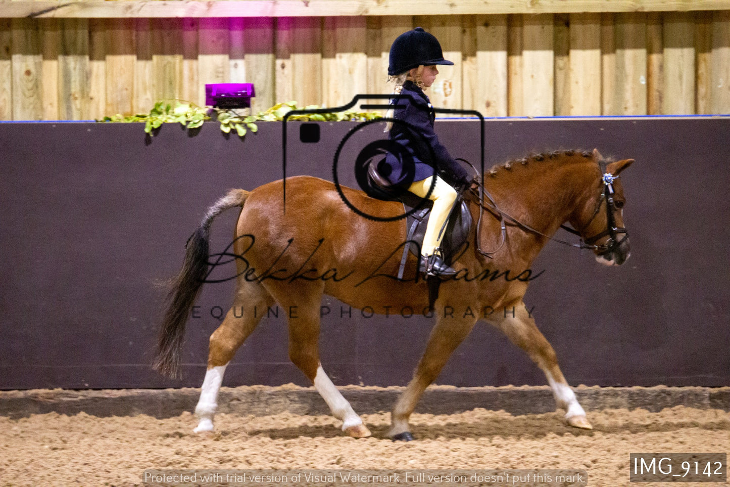JHOYS Ridden Showing Group 1