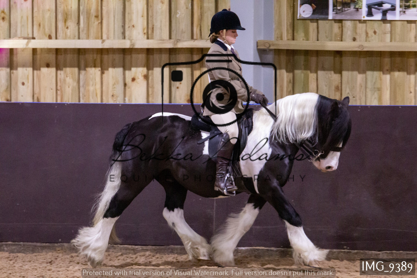 JHOYS Ridden Showing Group 1