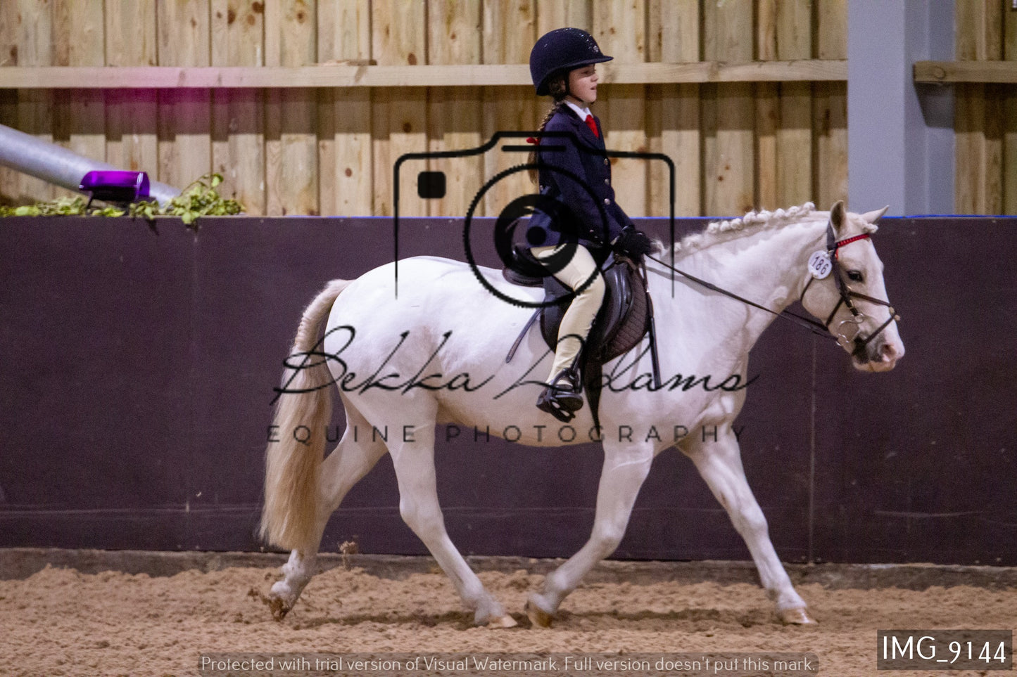 JHOYS Ridden Showing Group 1