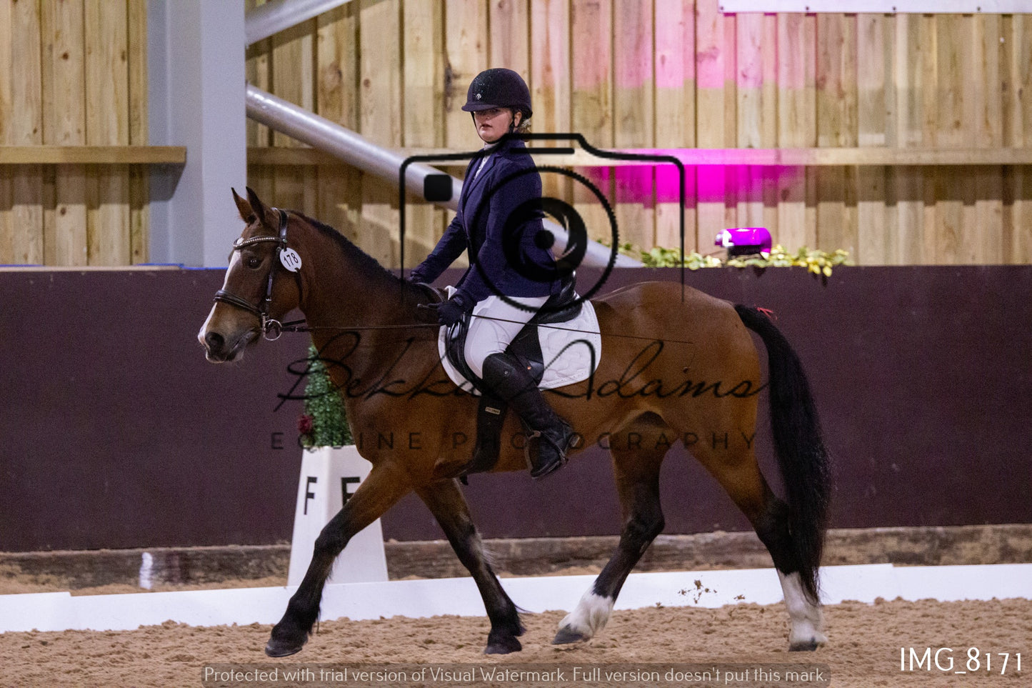 JHOYS Dressage