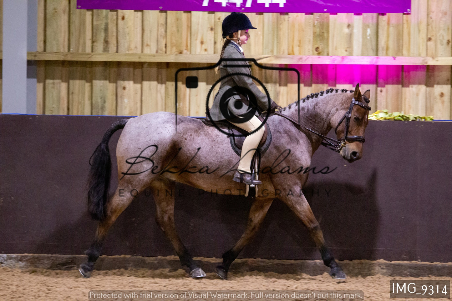 JHOYS Ridden Showing Group 1