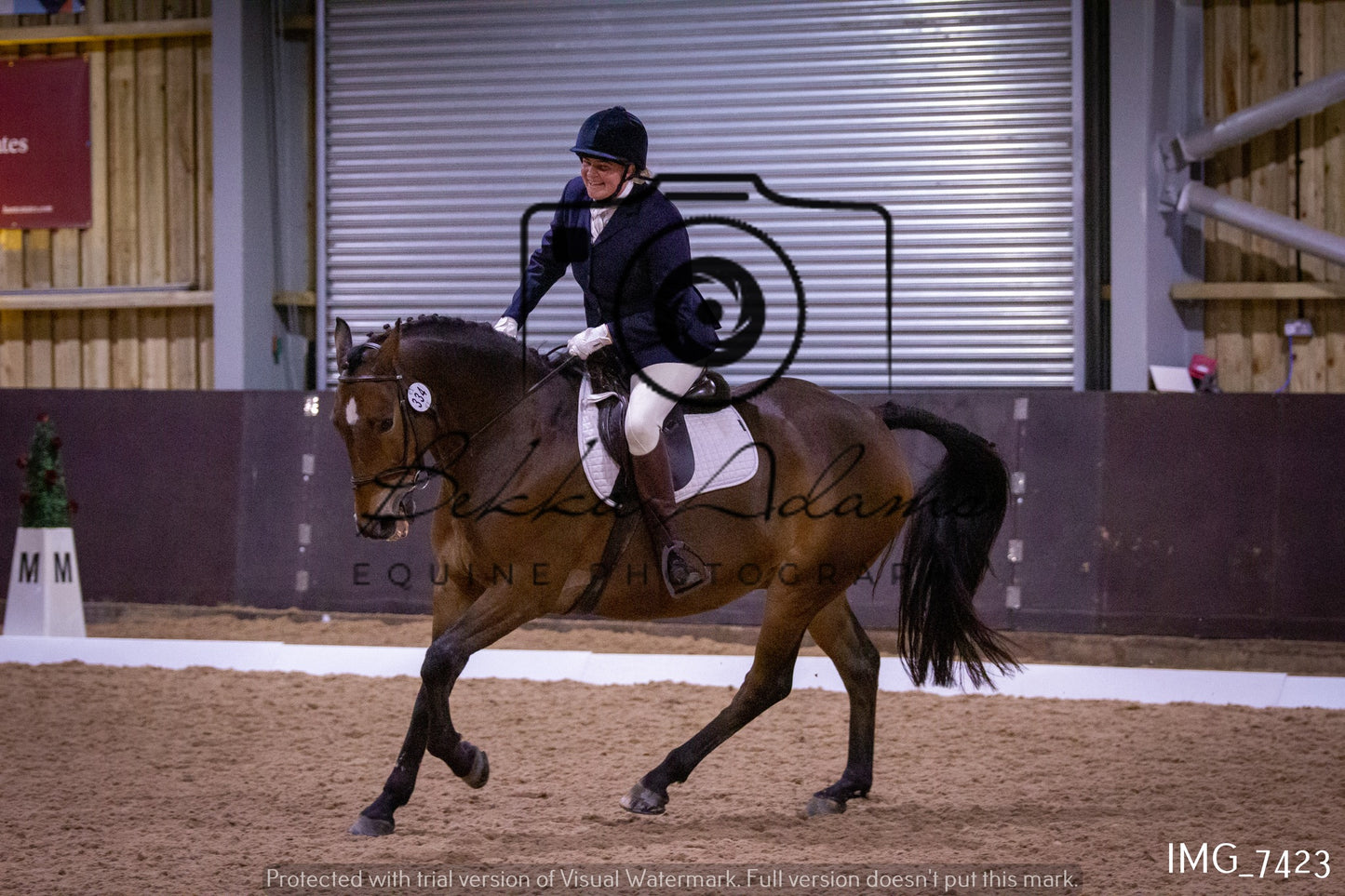 JHOYS Dressage