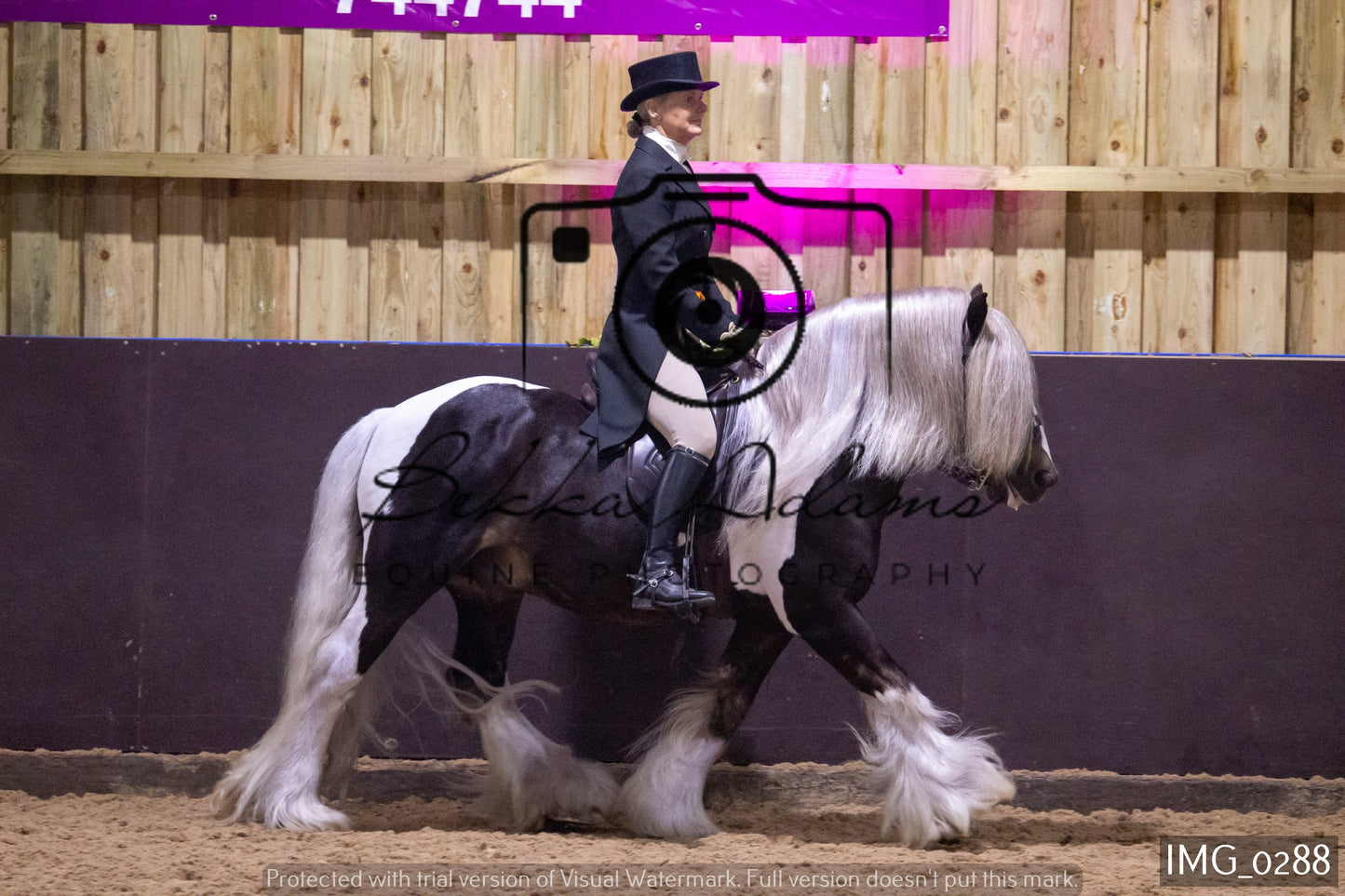 JHOYS Ridden Showing Group 1
