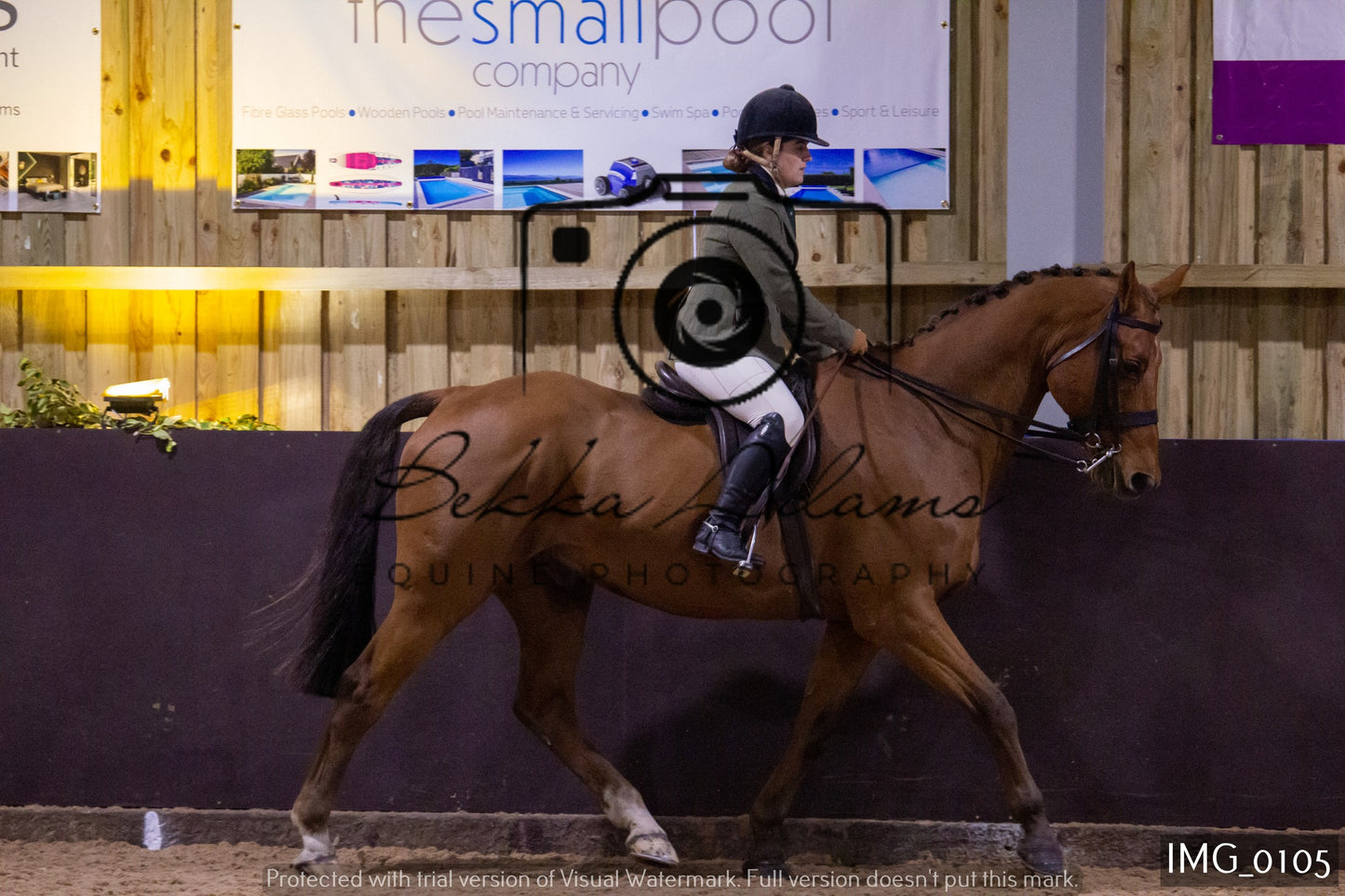 JHOYS Ridden Showing Group 1