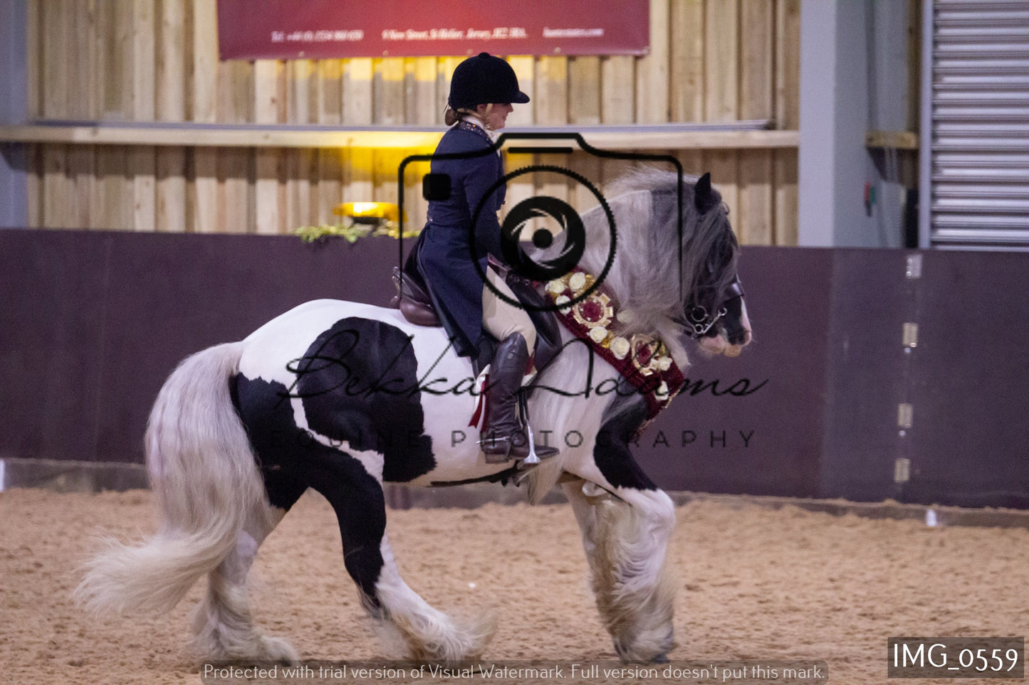 JHOYS Ridden Showing Group 1