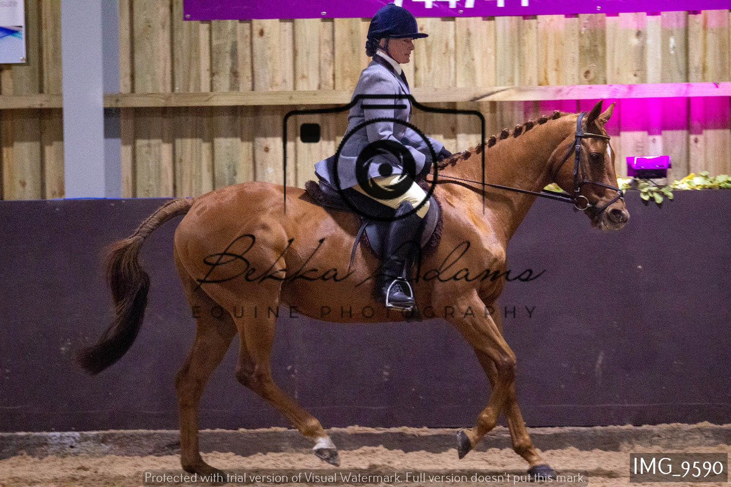 JHOYS Ridden Showing Group 1