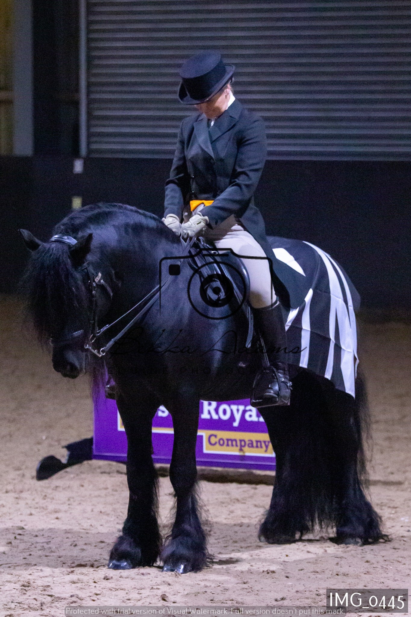JHOYS Ridden Showing Group 1