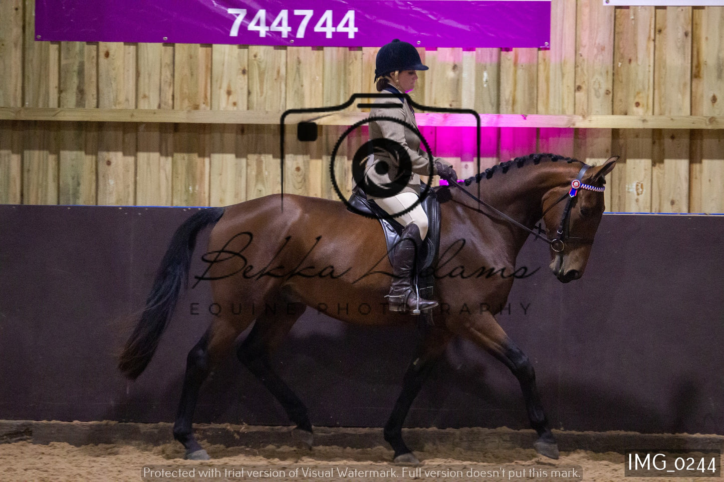 JHOYS Ridden Showing Group 1