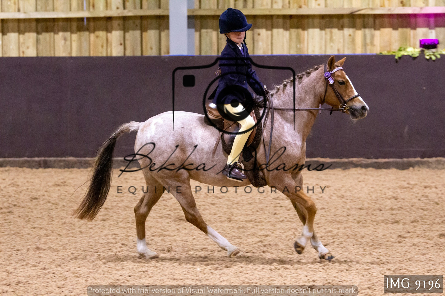 JHOYS Ridden Showing Group 1
