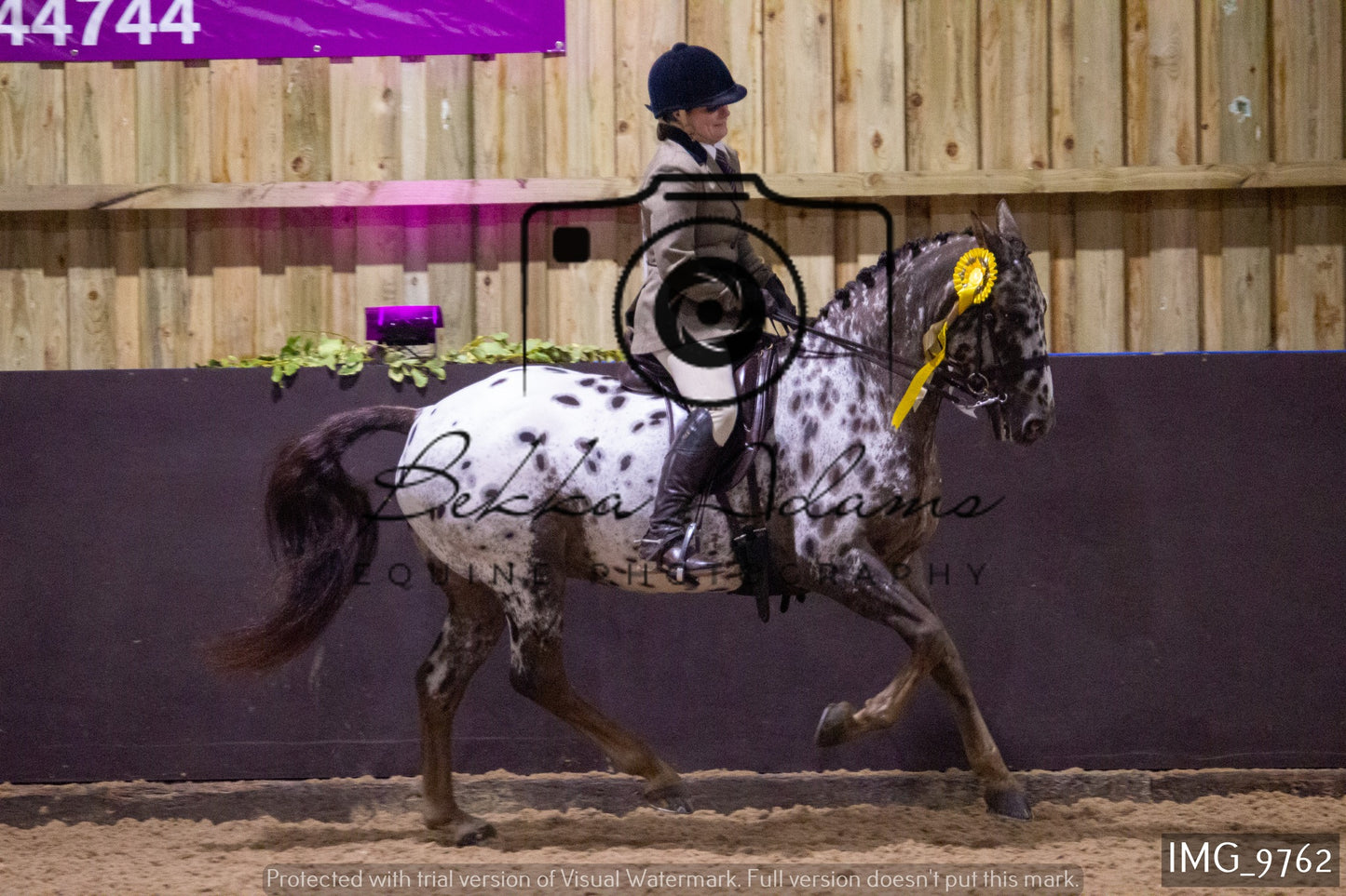 JHOYS Ridden Showing Group 1