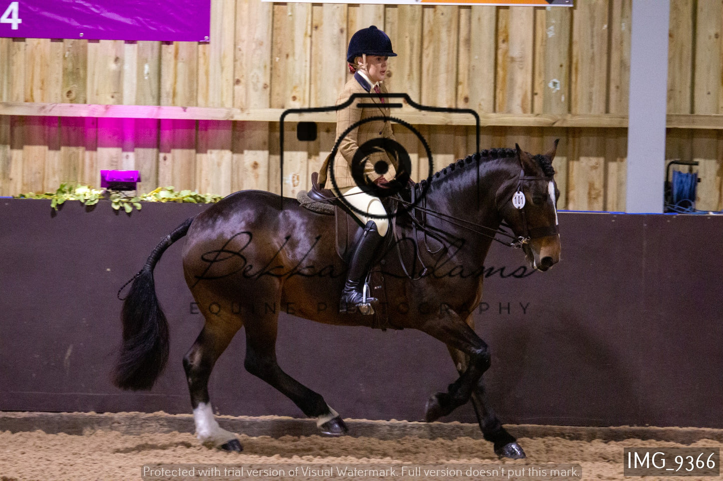 JHOYS Ridden Showing Group 1