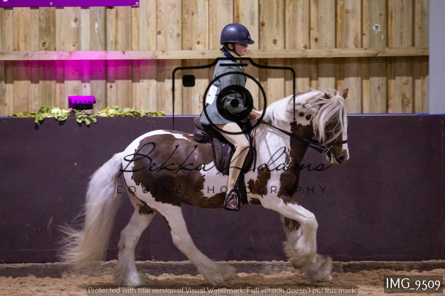 JHOYS Ridden Showing Group 1