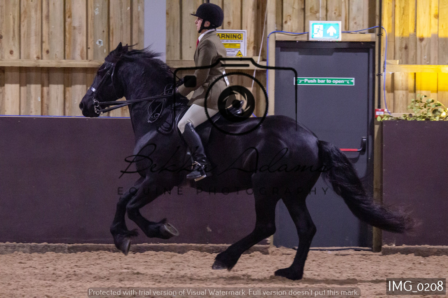 JHOYS Ridden Showing Group 1