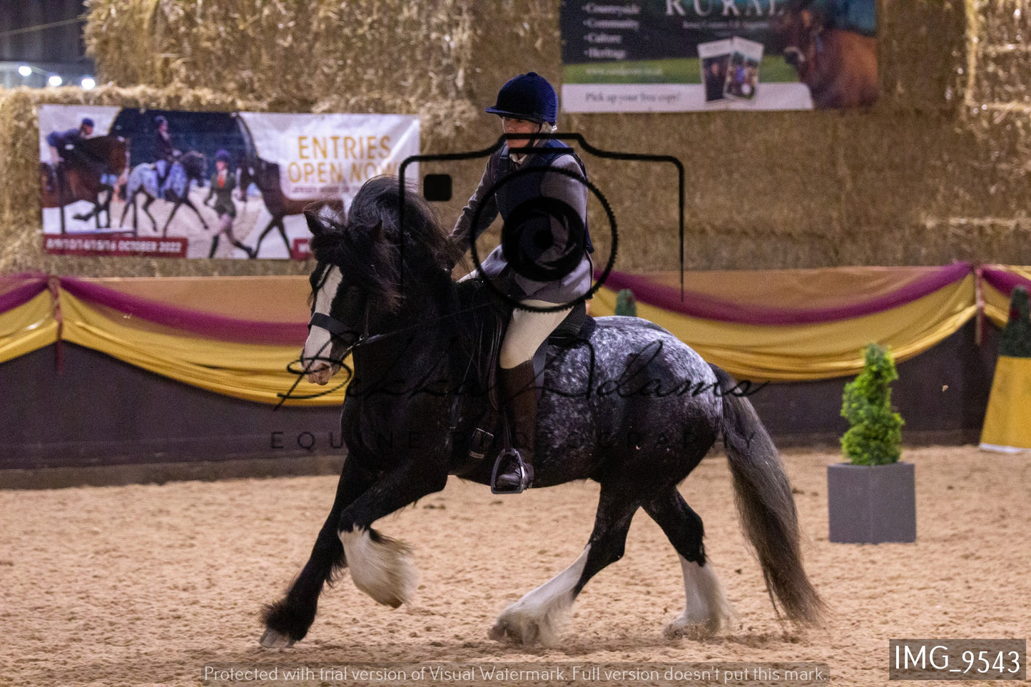 JHOYS Ridden Showing Group 1