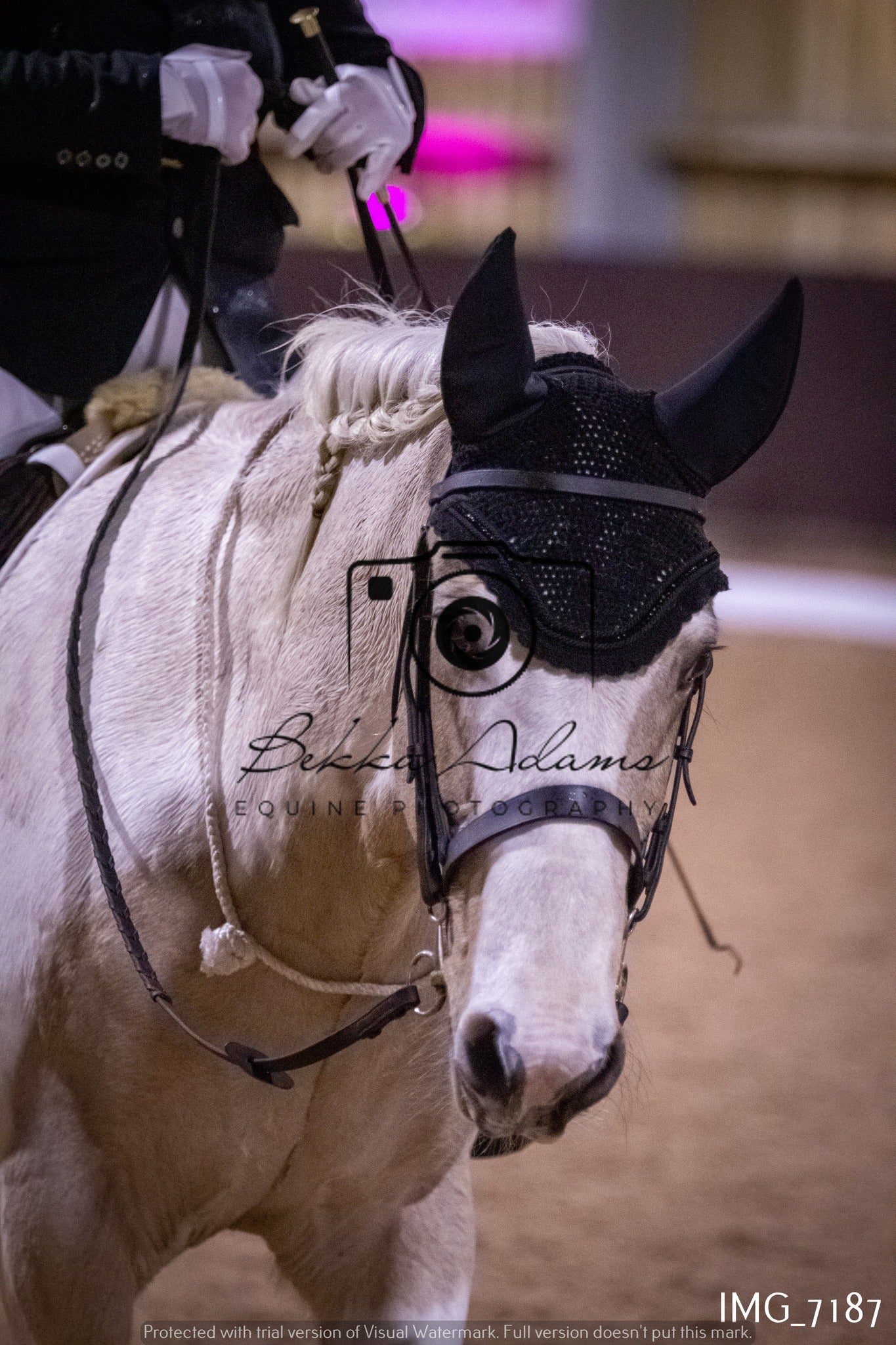 JHOYS Dressage