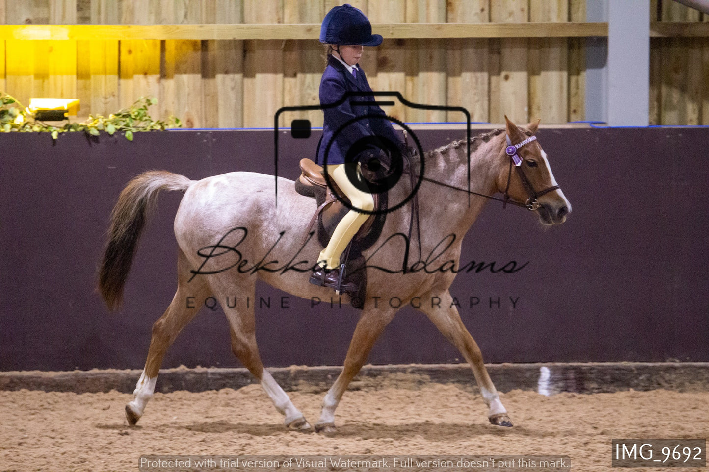 JHOYS Ridden Showing Group 1