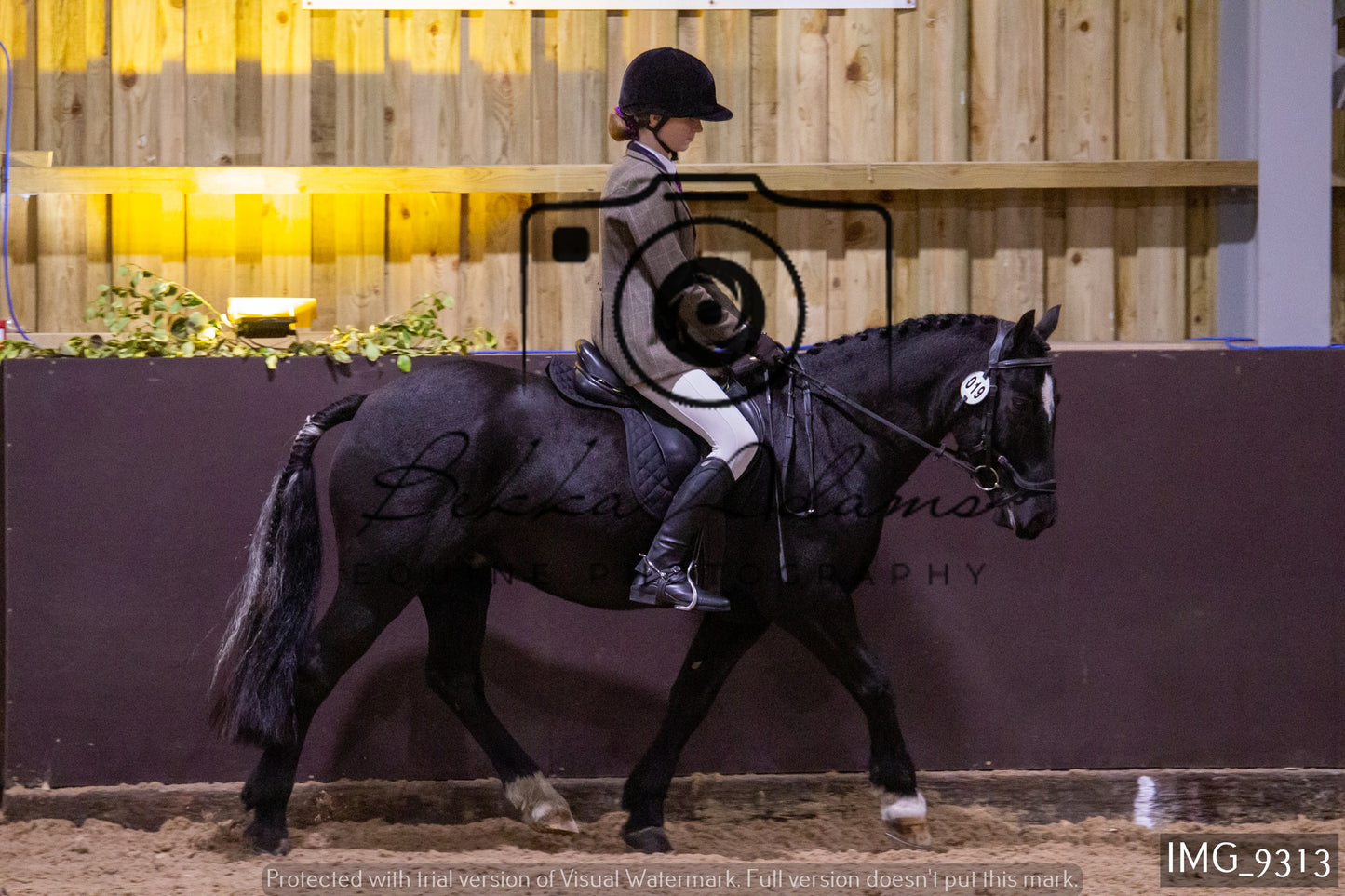 JHOYS Ridden Showing Group 1