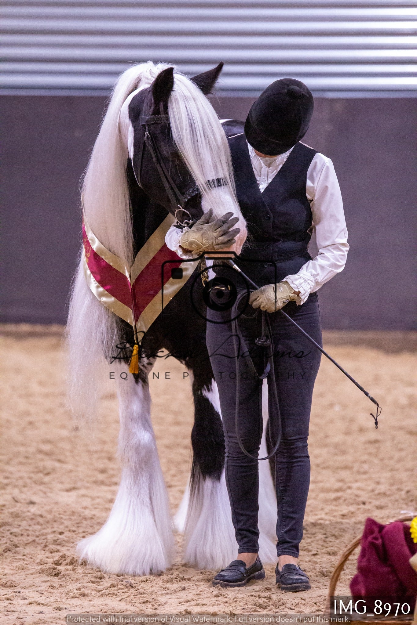 JHOYS In Hand Showing