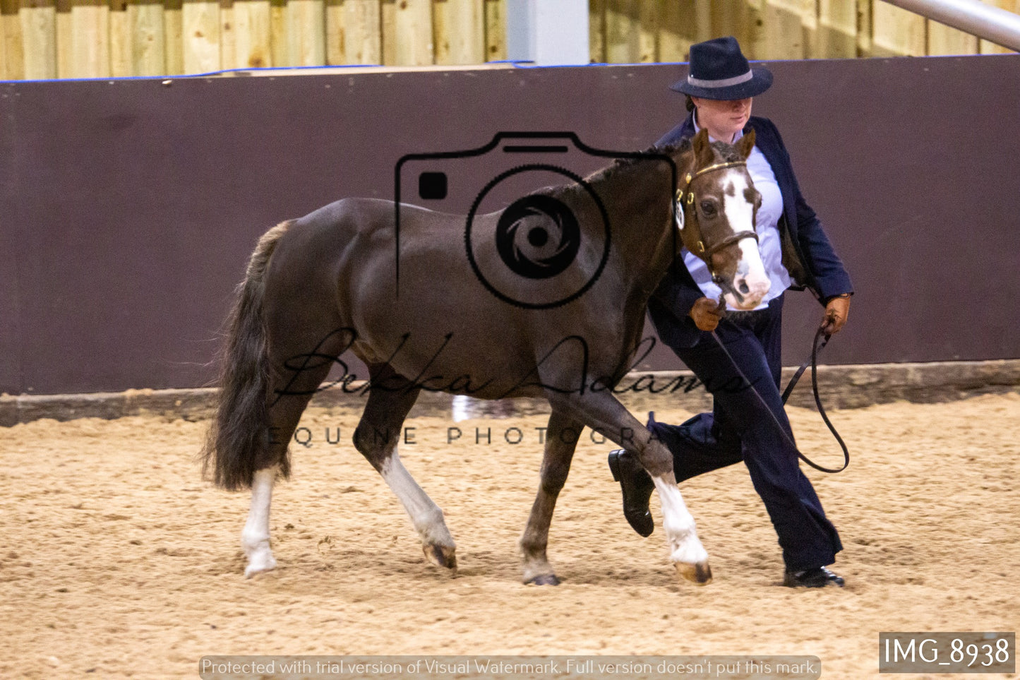 JHOYS In Hand Showing