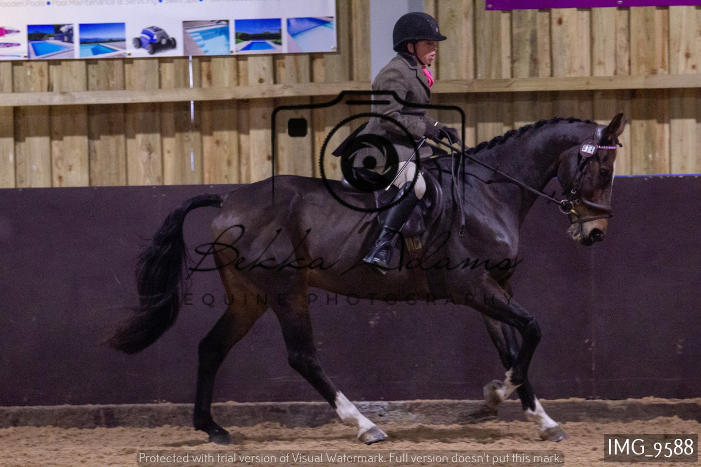 JHOYS Ridden Showing Group 1
