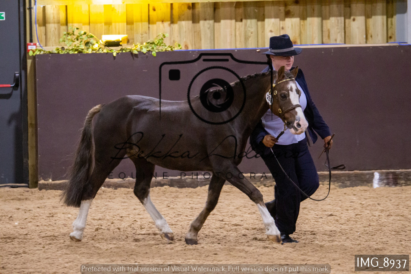 JHOYS In Hand Showing