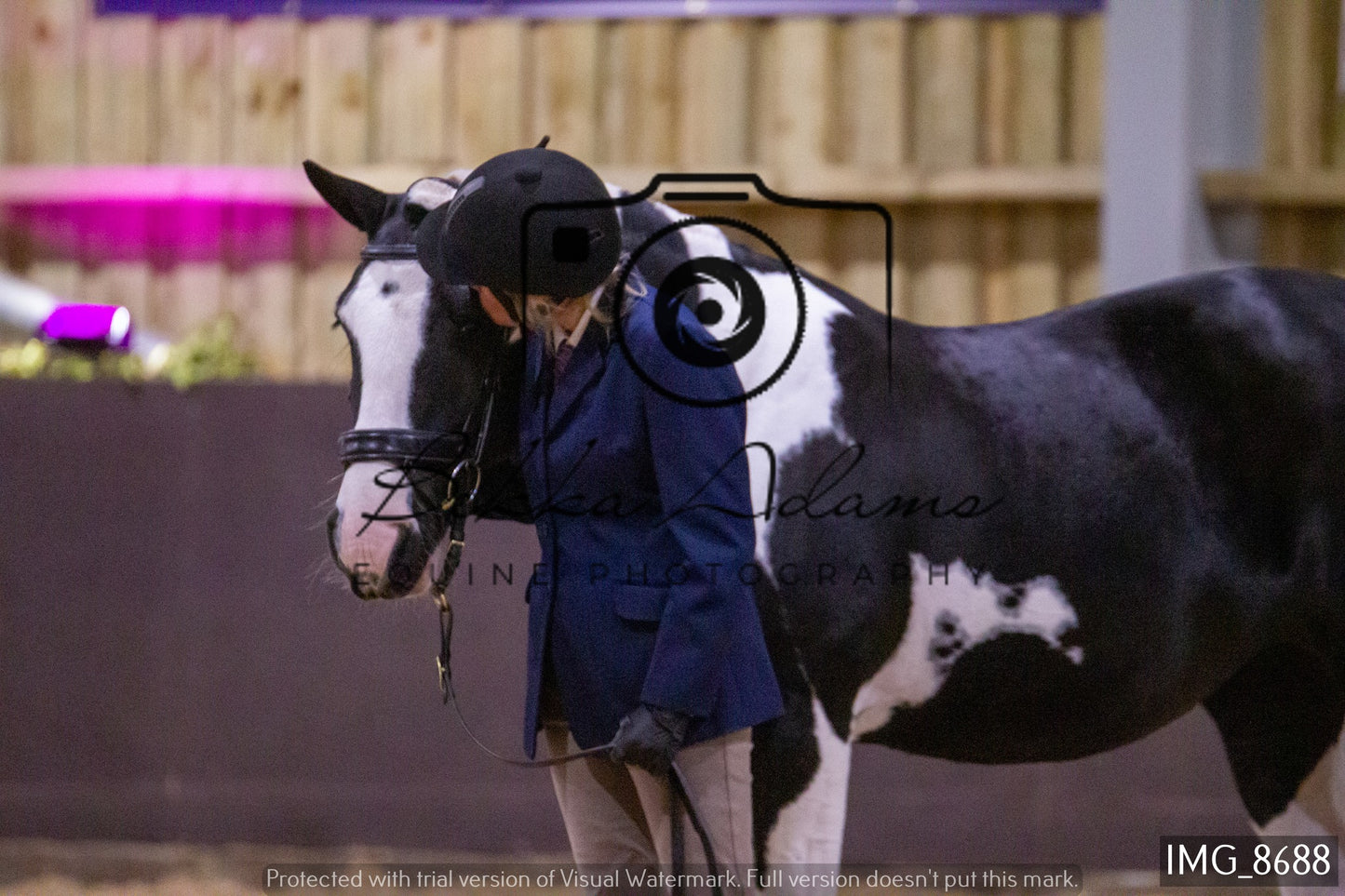 JHOYS In Hand Showing