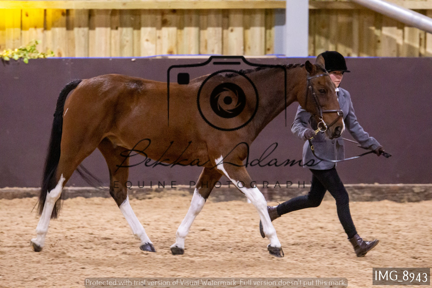 JHOYS In Hand Showing