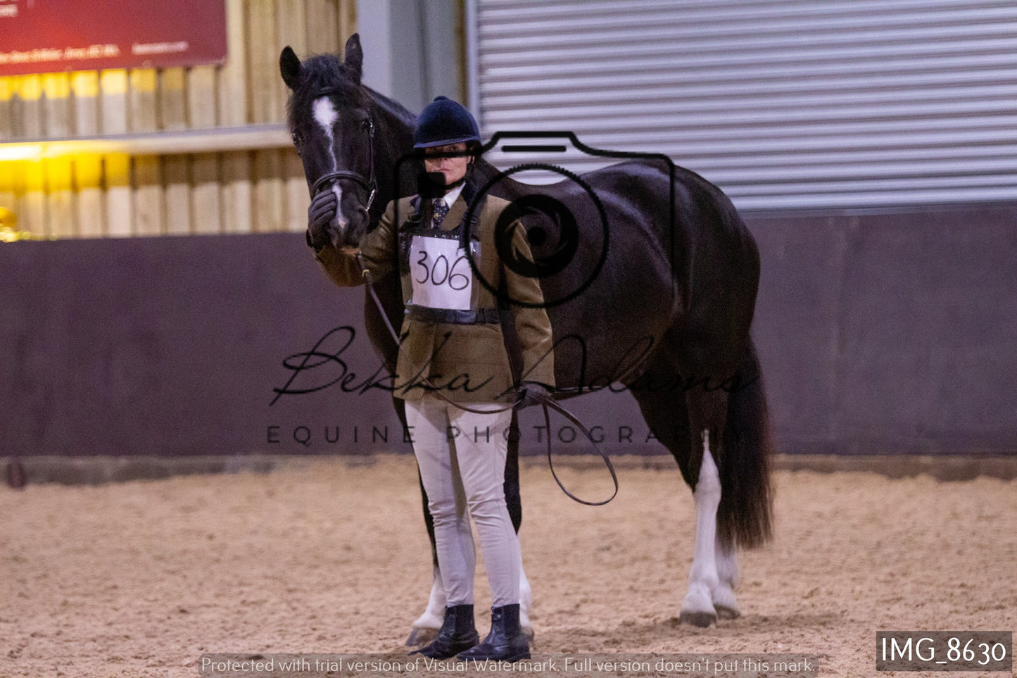 JHOYS In Hand Showing