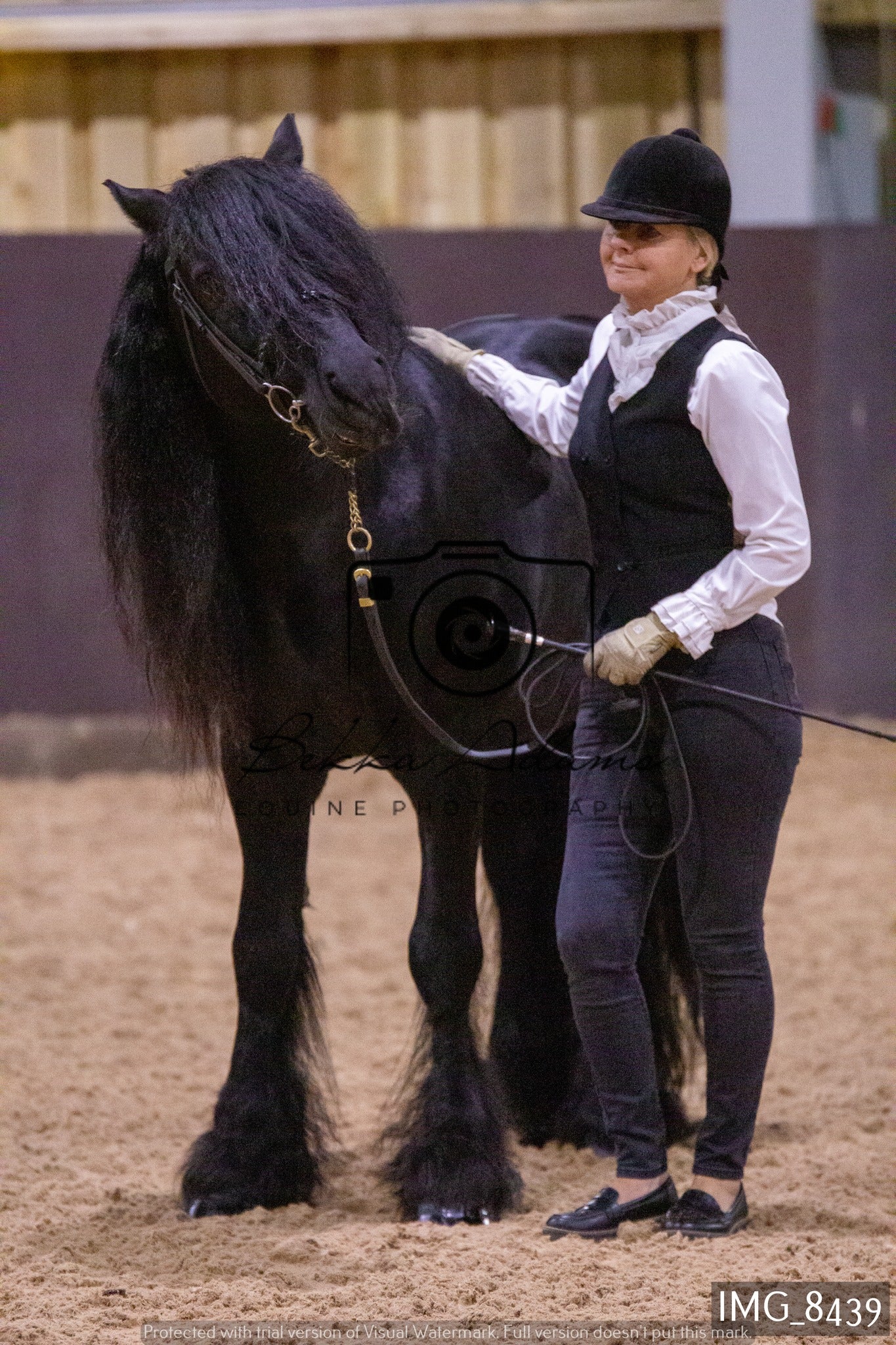 JHOYS In Hand Showing