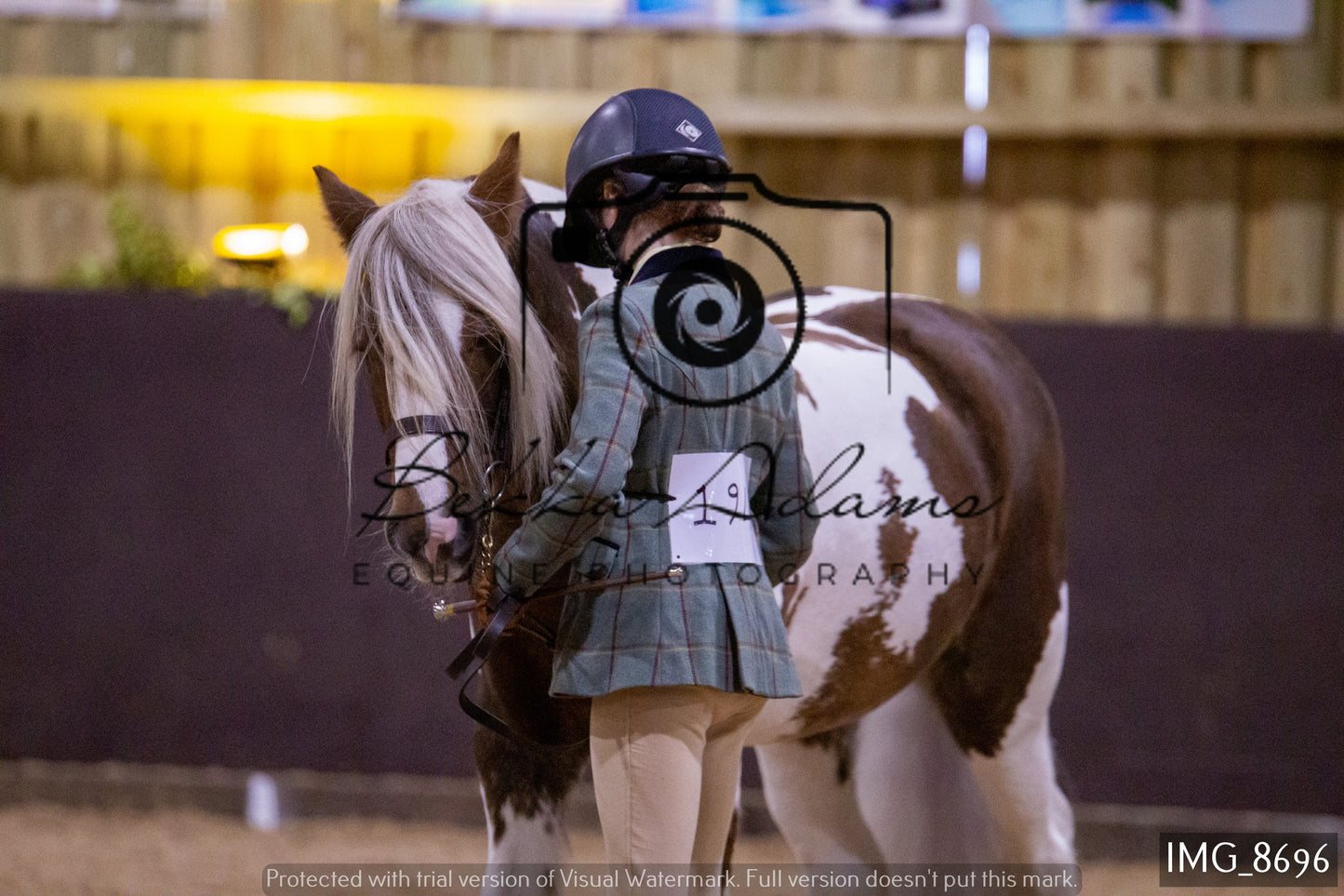 JHOYS In Hand Showing
