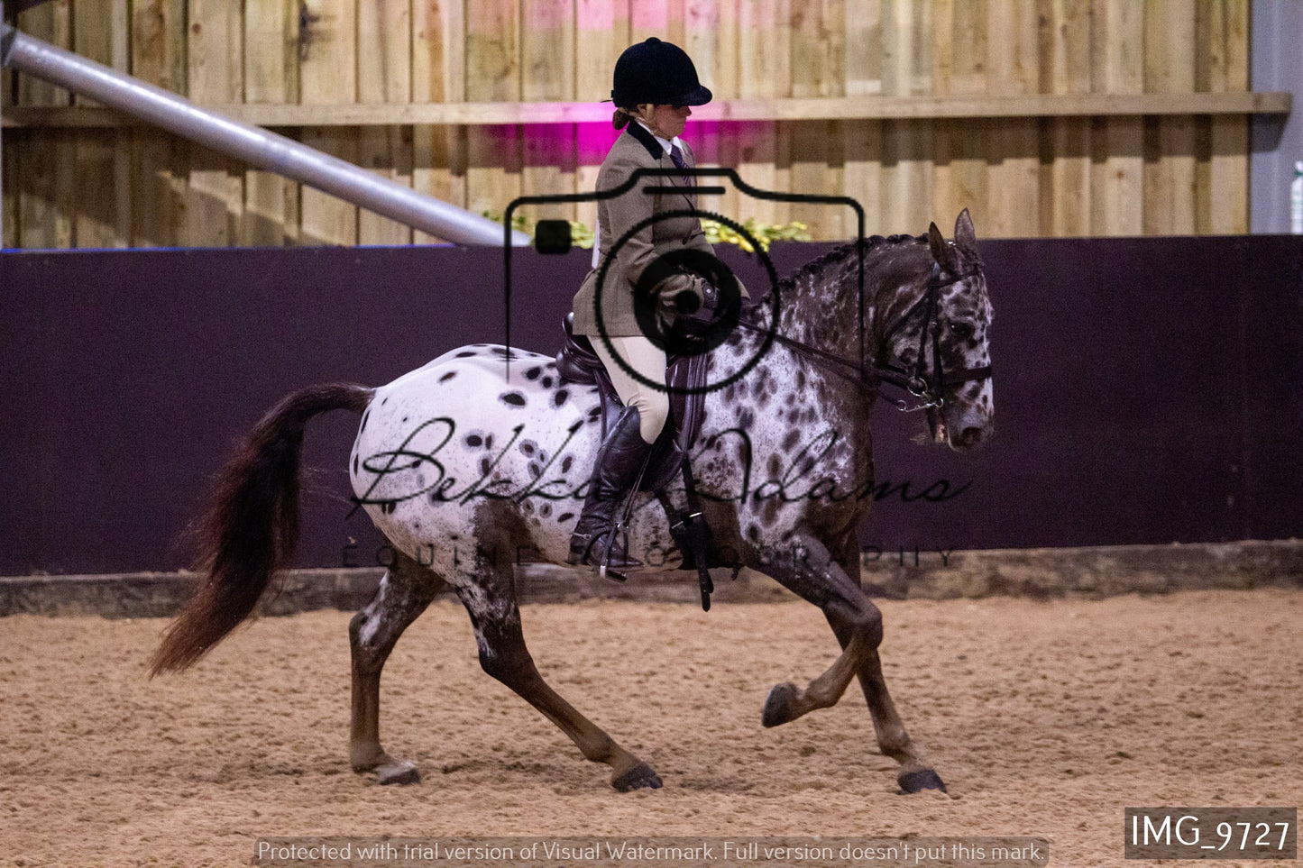 JHOYS Ridden Showing Group 1